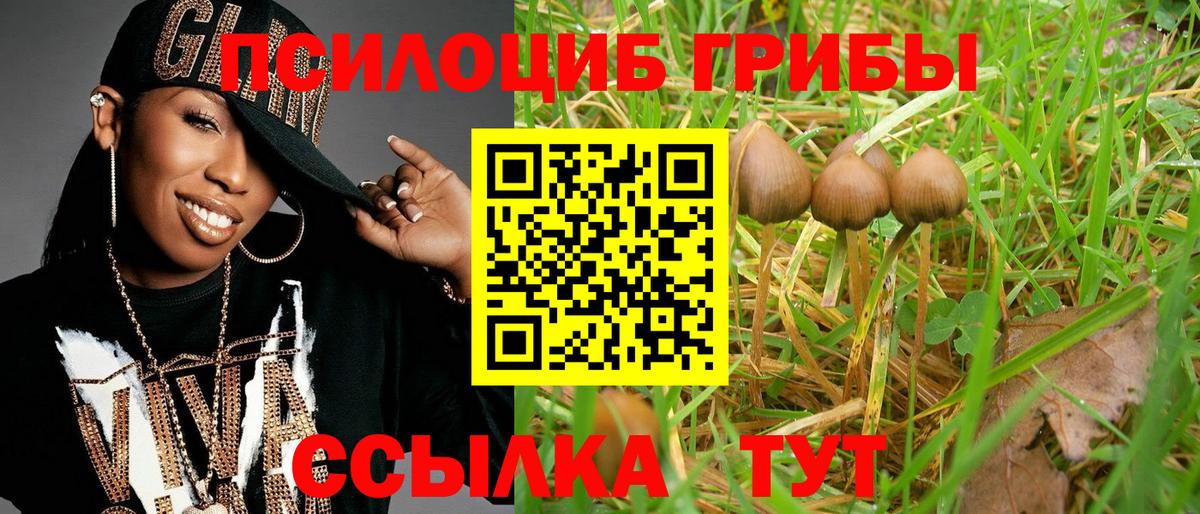 Унеча  Псилоцибиновые грибы мухоморы  Вход с VPN 