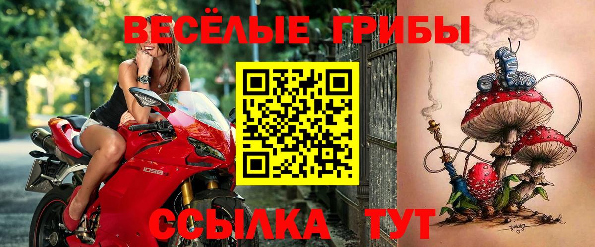 Псилоцибиновые грибы Cubensis Унеча